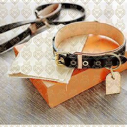 Louis Vuitton Baxter dog collar pm (M58072, M80340)