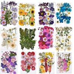 Decorative Flowers 1 Pack Dried Flower Dry Plants For DIY Candle Epoxy Resin Pendant Necklace Jewellery Making Craft Nail Art Decoration