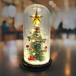 Christmas Decorations Mini Tree Decoration Gifts Colourful Artificial On Glass Dome