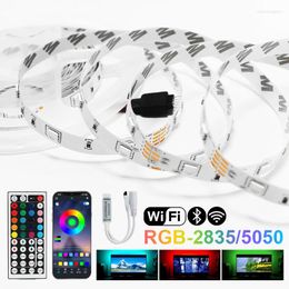 Strips LED Lights Bluetooth Iuces DC12V 5M 10M 15M 20M Colour RGB SMD 2835 Waterproof WiFi Flexible Lamp Tape Ribbon Diode