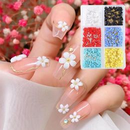 Nail Art Kits 6 Grids 3d Acrylic Flower Decorations Mixed Accessories Diy Beads Gem Nails Florets Jewelry Size Design White Z8i8