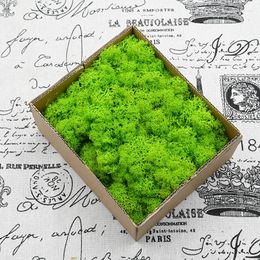 Decorative Flowers 100g Artificial Plants Eternal Life Moss Home Garden Decoration Outdoor Wall Micro Landscape Fake Wedding