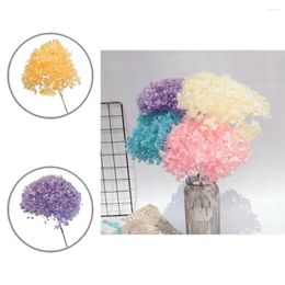 Decorative Flowers Dried Flower Vintage Style Real-looking Exquisite Workmanship Hydrangea Branch Preserved For Garden