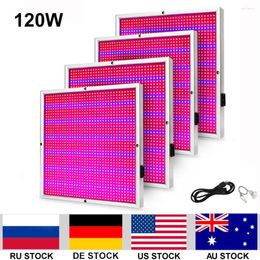 Grow Lights 4pcs/lot 120W 1365leds SMD2835 AC85 265V LED Light Phytolamp Hydroponics Aquarium For Plants