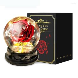 Decorative Flowers Mother Day Gift Dried Eternal Real Rose Home Decor With LED In Glass Dome Mother'S Round Lamp Ornaments