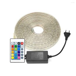 Strips SMD LED Strip 220V 1M 5M 10M 15M Blue/ Red/ RGB Light 60leds/m Striscia Waterproof Silicone Lamp 10mm Width Tira