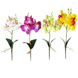 Decorative Flowers Simulation Fancy Four Butterfly Orchid Meaty Plant Bonsai Flower Arranging Accessories EST