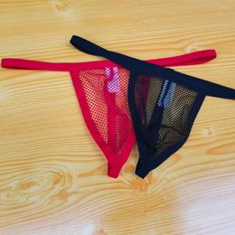 Underpants Dawang Men's Underwear Thong Foreign Trade Sexy Mesh Single Manufacturers Spot Men