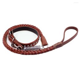 Dog Collars Pet Traction Rope Eight-strand Cowhide Spring Leash Outdoor Anti-rushing Guide Cable