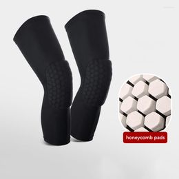 Knee Pads Kyncilor For Joints Sleeve Basketball Brace Elastic Kneepad Protective Gear Patella Foam Support Volleyball