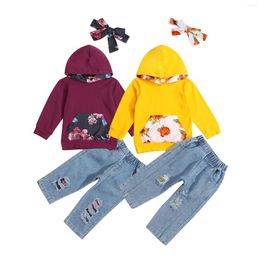 Clothing Sets Infant Baby Girl 3Pcs Fall Outfits Floral Print Long Sleeve Hoodie Ripped Pants Headband Set 6M-3T