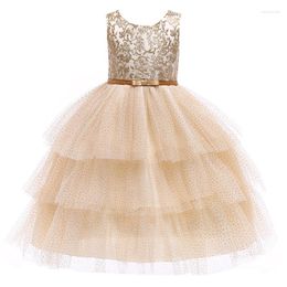 Girl Dresses Children Wedding Party Gown Fashion Flower Embroidered Girls Dress Tutu Elegant Christmas Princess 2-9 Year Kids Clothes