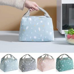 picnic plates set Thermal Small Portable Insulated Cooler Lunch Picnic Storage Bag Carry Tote Box