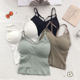 Yoga Outfit Women's Fashion Sexy Underwear Seamless Suspender Vest Pure Cotton Breathable Belt Bra Bottomed Top 2022