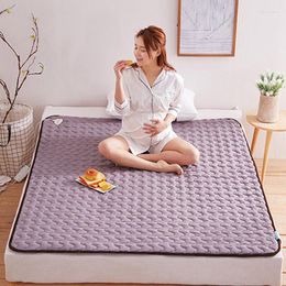 Blankets Single Double Electric Blanket 220v Waterproof Heated Controller Smart Sheet Koce Warming Products