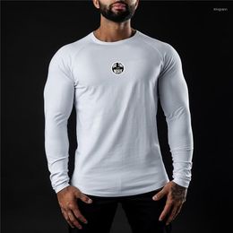 Men's T Shirts Autumn Men T-shirt Brand Fashion Clothing Stretch Cotton Male Long Sleeve Breathable Sports Shirt