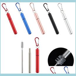 Drinking Straws Reusable Stainless Steel Sts Telescopic Drinking St With Aluminum Keychain Cleaning Brushes Drop D Nerdsropebags500Mg Dh91U