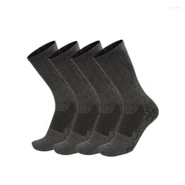 Sports Socks 2 Pairs Men's Running Cotton Performance Comfort Cushion Anti-Blister Wicking Athletic Sock