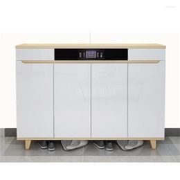 Clothing Storage Wood Shoes Cabinet With Cleaner Ozone Sterilisation Deodorization 2-Drawer 4-Door Modern Organiser