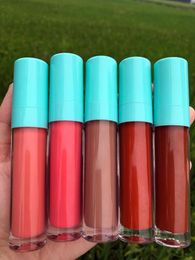 Lip Gloss 2022 High Pigment Shiny Glossy Vegan Moisturizing Nude Plumping Lipgloss Private Label Liquid Lips Cosmetics