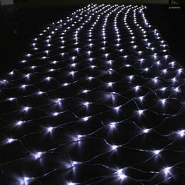 Strings 4.5mx1.5m 300LED Net Mesh Fairy Web String Light Twinkle Lamp Lighting Christmas Xmas Wedding Garland Party Decor 4 Colour Choose