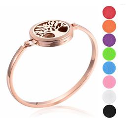 Bangle Essential Oil Diffuser Bracelet Stainless Steel Locket With 12 Gasket Tree Of Life Jewellery Women