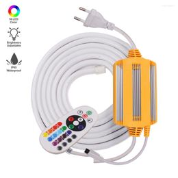 Strips Waterproof Neon Light Sign EU 220V LED Strip Flex Rope Remote Control SMD Ribbon Tape 2835 120Leds/m Tube