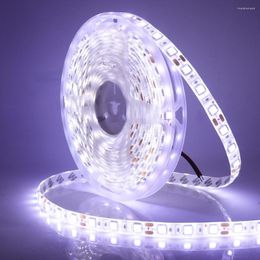 Strips SMD RGB Led Light Flexible Ribbon Diode Tape 5M 300 LEDs Strip White Warm Waterproof Under Cabinet