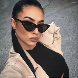 Sunglasses Sexy Cat Eye Women Brand Designer Mirror Black Triangle Sun Glasses Female Lens Shades For Ladies Eyewear UV4002111