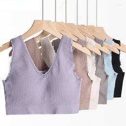 Bustiers & Corsets Sleeveless Women Crop Top Seamless Bralette Basic Tube One-Piece Striped Padded Lingerie Solid Bra