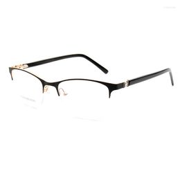 Sunglasses Frames Sunny Spot Wholesale Foreign Trade Metal Steel Sheet Ladies White-collar Glasses Frame Retro