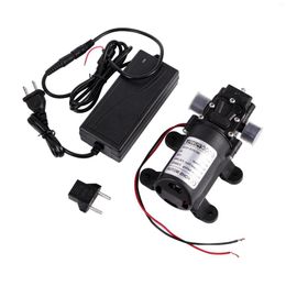 Watering Equipments Micro Electric Reflux Water Pump DC12V 72W 6A Self Priming Diaphragm Garden Lawn Irrigation Car Washing Reflow