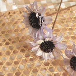 Decorative Flowers Dutch Chrysanthemum Dried Art Manual Materials Plant Immortality Simulation Ornaments Po Props Home Decoration