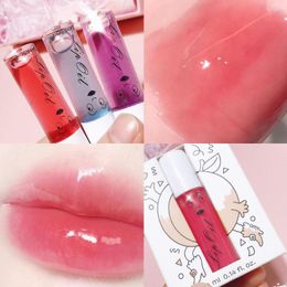 Lip Gloss 6 Color Moisturizing Plumping Shiny Plumper Wet Cherry Mineral Oil Liquid Lipstick Lasting Jelly Clear