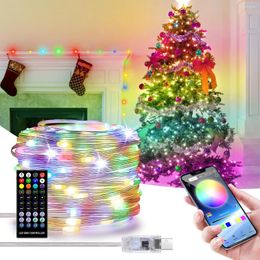 Strings Bluetooth USB LED Copper Wire Fairy String Lights RGBIC Dream Color Party Wedding Indoor Decoration Garden Christmas