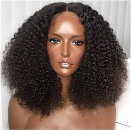 Synthetic Wigs Braids Cap Afro Curly Wigs Wig Human Hair Brazilian 221010