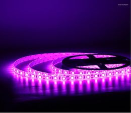 Strips 100M LED Strip Light Pink Flexible Tape 5M Waterproof Non-waterproof Car Decoration 60LEDs/M DC12V DC24V