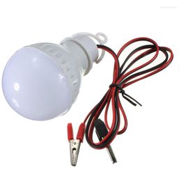 LED Bulbs Lamp Home Camping Hunting Emergency Outdoor Light For DC 12V GRSA889