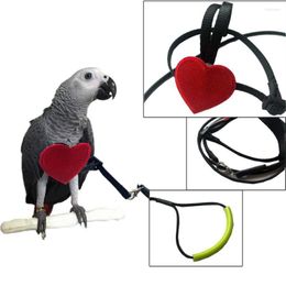 Other Bird Supplies Harness Leash Parrot Flying Straps Wings Traction Rope Adjustable Elastic Training For Lovebird Cockatiel Budgerigar