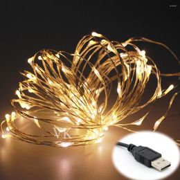 Strings USB Fairy String Lights 10M 100 LEDs 33ft 5v Sliver Copper Wire LED Starry Light Christmas Wedding Decoration