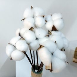 Faux Floral Greenery 10 Pcs Naturally Dried Cotton Flower Artificial Plants Floral Branch For Wedding Party Decoration Fake Home Decor Naturales 221010