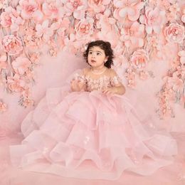 Pink Sheer Flower Girls Dresses For Weddings Tiered Ball Gown Pageant Gowns for Photoshoot Little Girl First Communion Dress