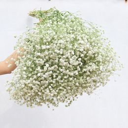 Faux Floral Greenery 80glot White Gypsophila Dried Flower Bouquet Flowers Real Flower Home Furnishing Living Room Decoration 221010