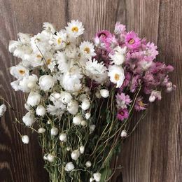 Faux Floral Greenery 125CM HeadAbout 35g Real Natural Dried Flowers Rudan Bird Mini Daisy Dry Rodance Small Daisys Flower Bouquet Home Decoration 221010
