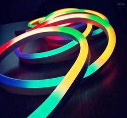 Strips LED Neon Pixel Strip Dream Color WS2811 60leds/m DC12V DC24V Running RGB Flex Rope Light Waterproof PVC Tape