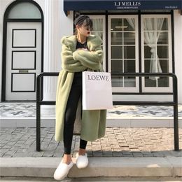 Women's Fur 2022 Fashion Korean Edition Loose Imitation Hair Long Hooded Coats Spring And Winter Women Coat