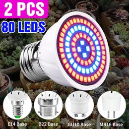 Grow Lights 80leds 220V LED Lamp Full Spectrum Plant Growth Indoor Lighting Plants E27 Hydroponic System Box