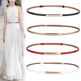 Belts High Quality Real Cowskin Leather Belt Fashion Alloy Buckle Retro Ladies Thin For Women Wild Jumpsuit LadiesBelts