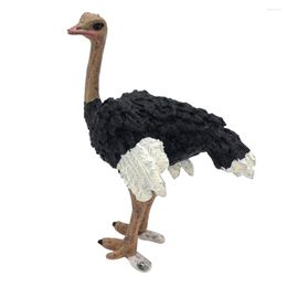 Garden Decorations Figurines Animals Model Action Figures For Kids Collection Toys Ostrich Teaching Animal Pography Prop Crafts