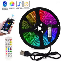 Strips SMD RGB LED Strip Light Bar 5V USB Bluetooth Music Waterproof Flexible Tape Ribbon Diode Lamps With 24Keys Remote Control